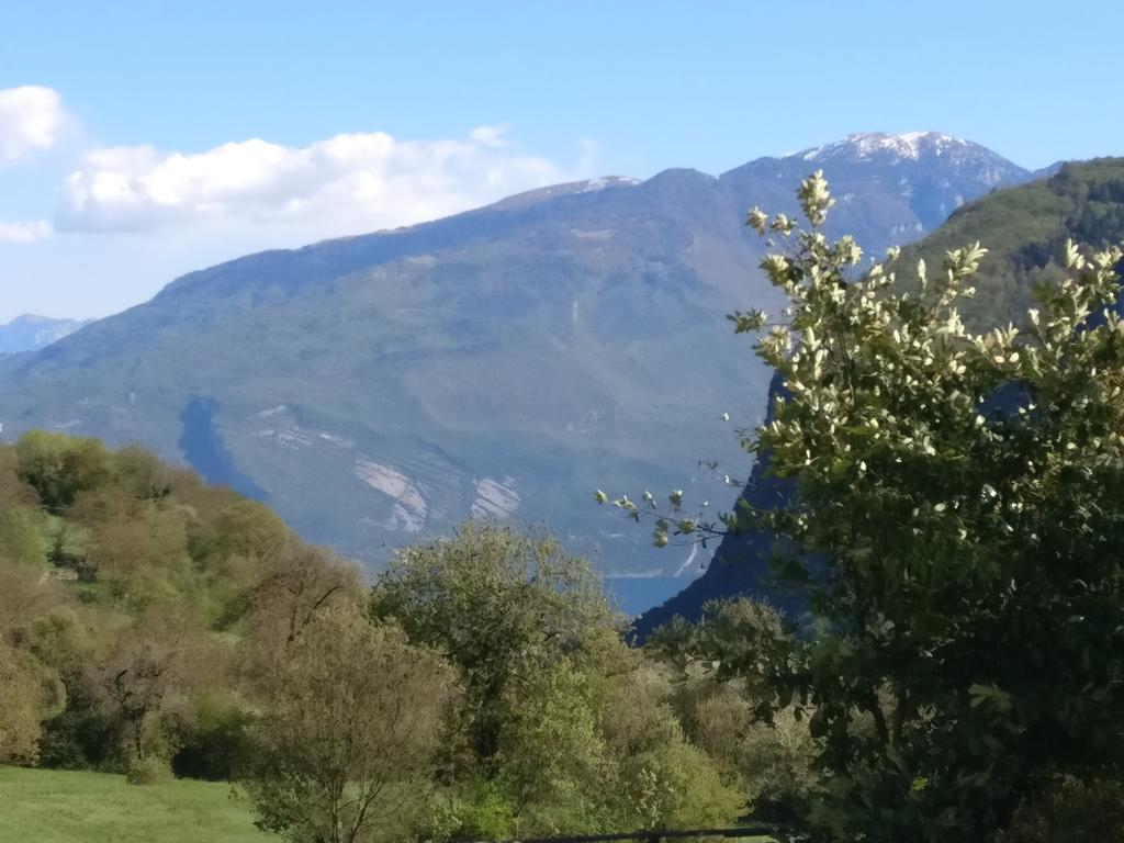 Garni Al Laghet Ξενοδοχείο Tenno Εξωτερικό φωτογραφία